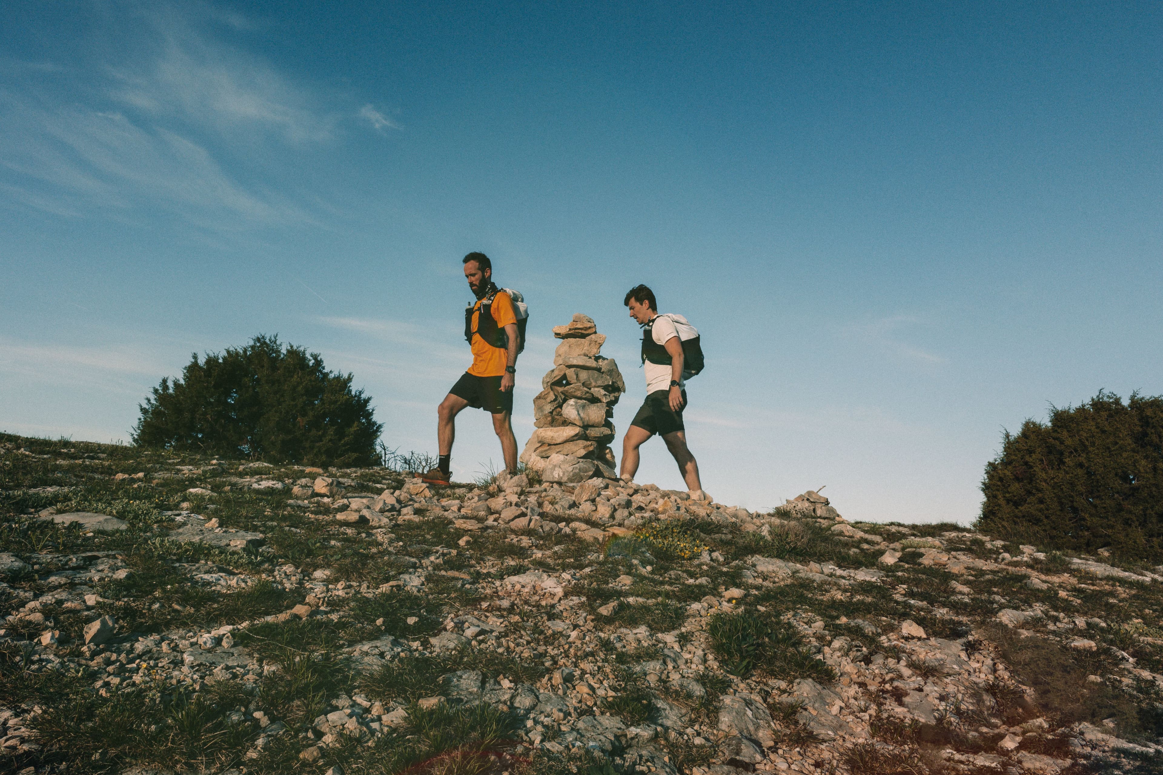 Viva Verdon le film